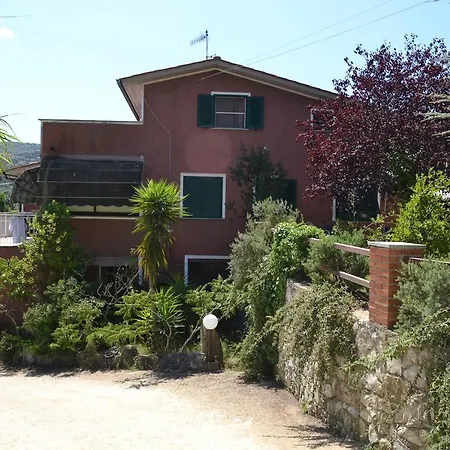 Gli Alberi