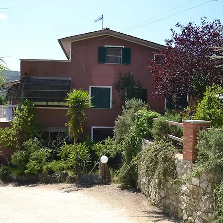Gli Alberi