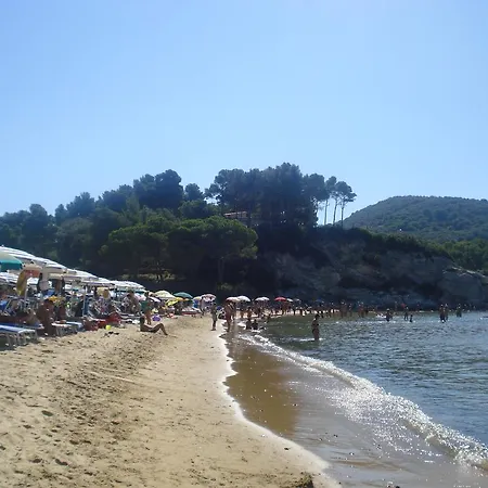 Gli Alberi Appartement *