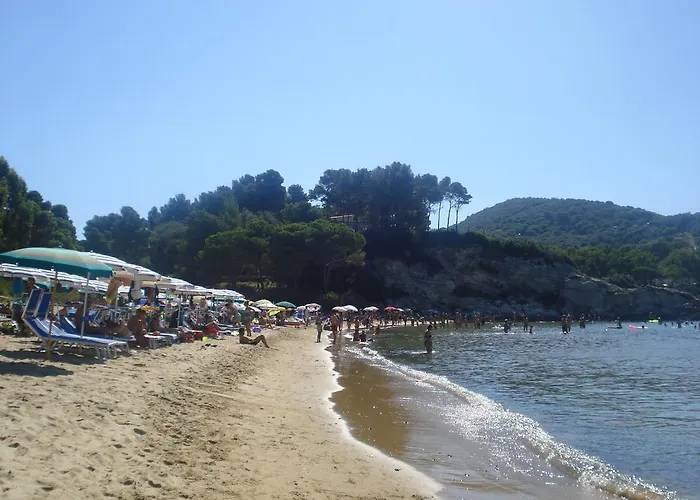 Gli Alberi Apartman *